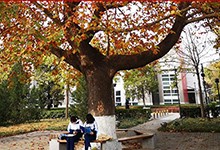 北京一零一中(国际部)