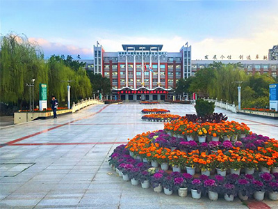 成都绵阳东辰国际学校（国际部）