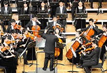 深圳高级中学（国际部）