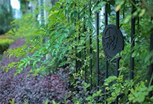 南京师范大学附属中学树人学校