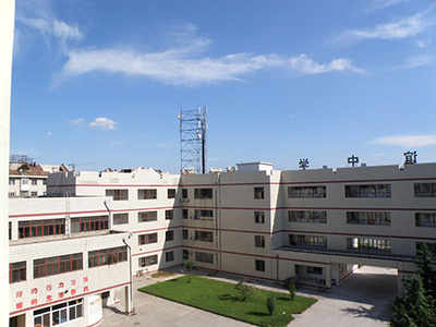 北京君谊中学（国际班）