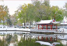 北京一零一中(国际部)