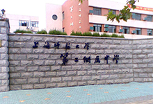 上海师范大学第二附属中学