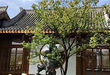 内江市中区天立学校