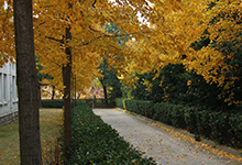 西交利物浦大学附属学校(国际部)