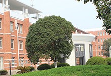 上海东方外国语学校