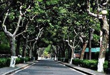 科桥学院
