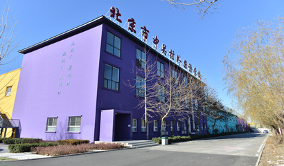 北京市中关村外国语学校（国际部）