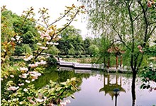 重庆市清华中学校（国际班）