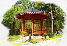 上海新竹园中学