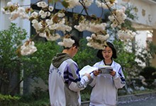 北京市八一学校（国际部）