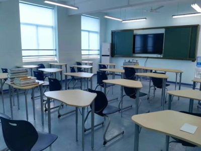 斯代文森国际学校