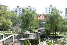 广雅中学（国际班）