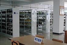 河北省师范大学附属中学（中加国际班）