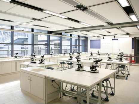 上海融育学校（国际班）