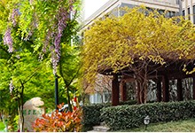 南京师范大学附属中学树人学校