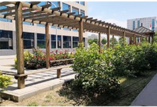 山西剑桥国际学校