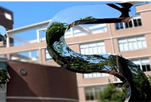 上海市实验学校（国际部）