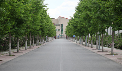 北京市师达中学（国际班）