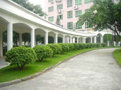 广州市华美英语实验学校(国际部)