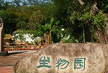 深圳市石岩公学（国际部）