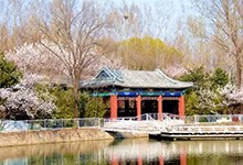北京昌平凯博外国语学校