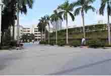 深圳市美中学校（国际部）
