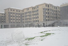 南京师范大学附属中学树人学校