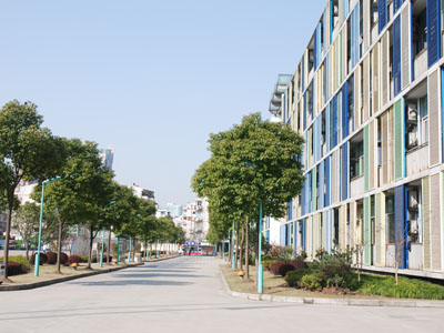 上海外国语大学附属双语学校（国际班）
