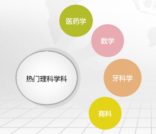 伦敦国王学院本科申请条件难吗 小G6不是说说而已内容图片_9