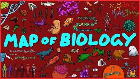 IB生物，想要拯救全人类的一门课内容图片_4
