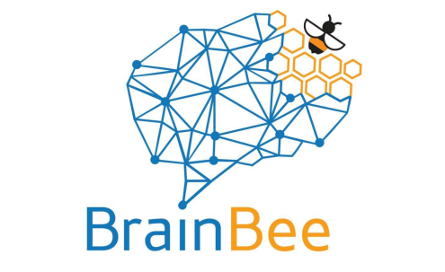 10个参加BRAIN BEE脑科学大赛必须了解的小问题内容图片_1