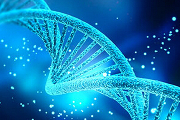 AP生物复习指南大全 让你Get满分技能内容图片_2