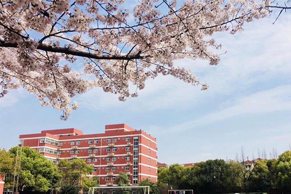 WLSA新竹园 | 2020秋季学期插班生预约申请开始啦！内容图片_1