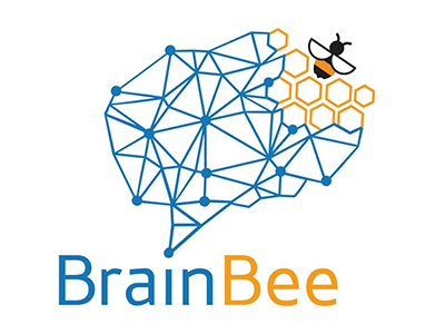 10个参加BRAIN BEE脑科学大赛必须了解的小问题
