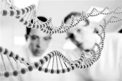 IB生物，想要拯救全人类的一门课内容图片_2