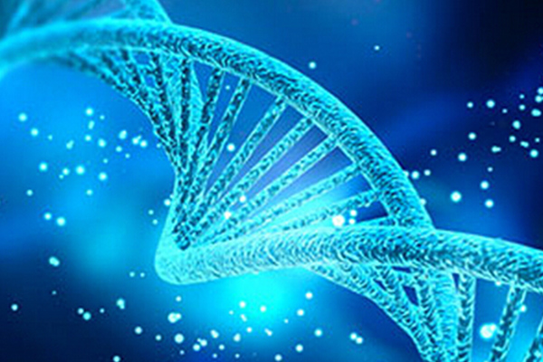 AP生物想要考出好成绩 这几个建议要收好内容图片_2