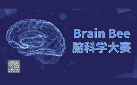 2021BrainBee报名已开放 5-国际体系12年级学员均可参赛内容图片_1