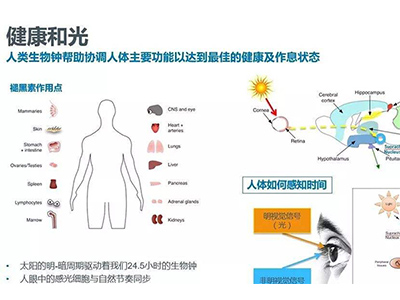 史上很简单的AS生物结构认知学习方法来啦  错过可就后悔了