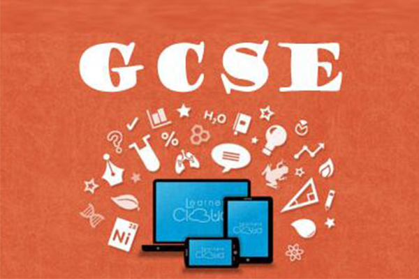 你与GCSE英语高分 只有几本书的距离内容图片_1