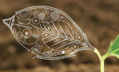 CIE和爱德思IGCSE生物 哪家拿让你与高分更近一点点内容图片_1