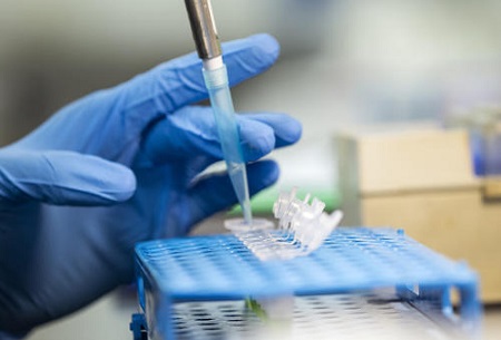 IB生物学什么 理论知识与实验操作并重内容图片_2