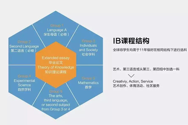 IB课程和Alevel哪个好 如何选择课程看这篇	内容图片_2