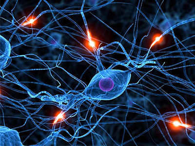 10大Alevel生物学习网站 想考高分的同学要备！