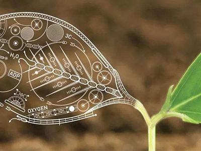 CIE和爱德思IGCSE生物 哪家能让你与高分更近一点点