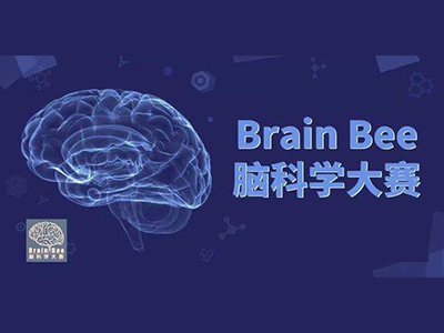 2021BrainBee报名已开放 5-国际体系1学员均可参赛