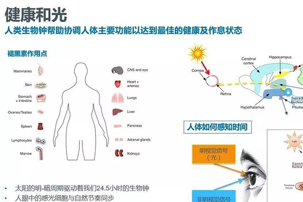 史上最简单的AS生物结构认知学习方法来啦  错过可就后悔了内容图片_2