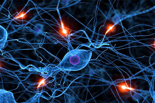 10大Alevel生物学习网站 想考高分的同学必备！内容图片_1