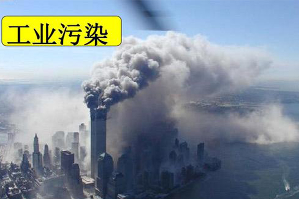 AP环境科学学习方法分享 这样复习简单又高效内容图片_2