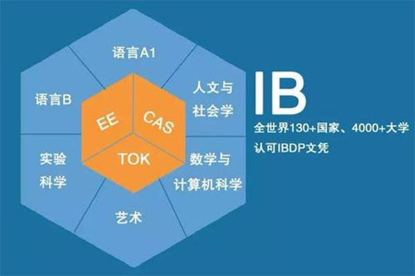 IB英语A语言文学技巧  教你5步速成评论写作内容图片_2
